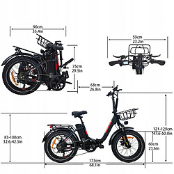 Autrement Vélo électrique Pliable BAOLUJIE DZ-2030 48V16AH,Moteur 750W 20*4.0”- Portée 80KM,40KM/H-Noir