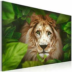 Paris Prix Tableau Imprimé Eyes of the Jungle 40 x 60 cm