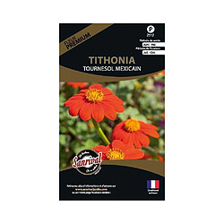 Sanrival Graines de fleurs premium tithonia tournesol mexicain