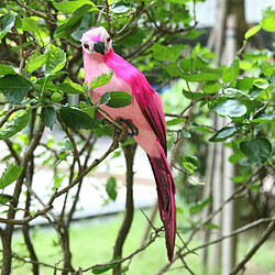 statue jardin exterieur animaux figurine oiseau