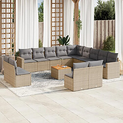 vidaXL Salon de jardin avec coussins 14 pcs beige résine tressée 