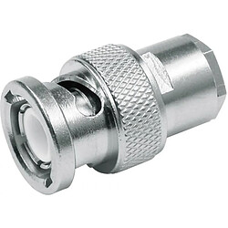 Telegärtner J01002 A0609 BNC Stainless Steel Wire Connector – Wire Connectors (Stainless Steel)