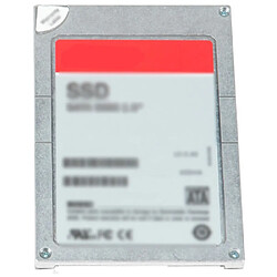 Dell 256Gb SATA Class 20 SSD 2.5i Kit (400-AKXI)