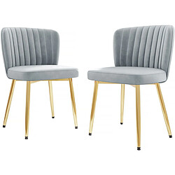 Habitat Et Jardin Lot de 2 chaises en velours Maud - Gris 