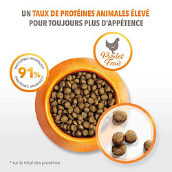 Iams Chat IAMS Vitality Croquettes - Poulet frais - Croissance et vitalité - Pour chatons - Sac refermable de 1,5 kg