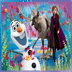 Acheter Trefl- Eine Reise ins Unbekannte, Disney Frozen 2 Von 35 BIS 70 Teilen, 4 Sets, für Kinder AB 4 Jahren Boîte à Puzzle, 916 34323, Multicolore