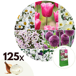 Plant in a Box Bulb Garden Pink - 125x Mélange de Bulbes - Narcisse, Allium, Crocus, Tulipe