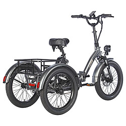 Avis Tricycle électrique FAFREES F20 Mate, moteur sans balais 500 W, batterie 48 V/18,2 Ah, gros pneus 20 x 3,0 pouces - Gris