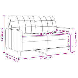 Acheter vidaXL Ensemble de canapés 2 pcs avec coussins Vert foncé Velours