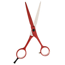 ciseaux coiffeur professionnel désépaissir 6.0"" Ciseaux de Coiffeur Professionnel pour Coupe Cheveux en Acier Inoxydable pour Salon de Coiffure