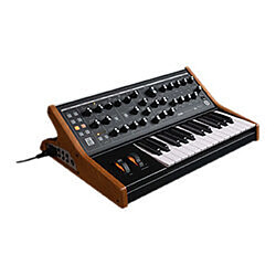 MoogSubsequent 25