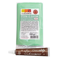 Scrapcooking Pâte à sucre vert d'eau 250 g + Stylo chocolat