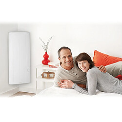 Accessoires radiateur Thermor