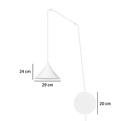 Avis EPIKASA Suspension Abramo