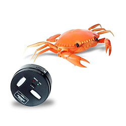 Totalcadeau Crabe téléguidé radiocommandé orange