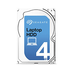 Seagate Technology Laptop HDD 4 To