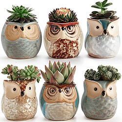 Acheter BESTA 2.5 Inch Owl Pot Ceramic Flowing Glaze Base Serial Set Succulent Plant Pot Cactus Plant Pot Flower Pot Container Planter Bonsai Pots with A Hole Gift Idea 6 in Set