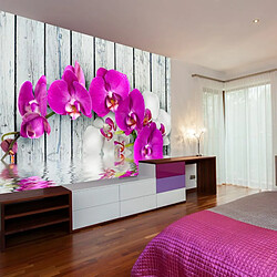 Paris Prix Papier Peint Violet Orchids with Water Reflexion 231 x 300 cm 