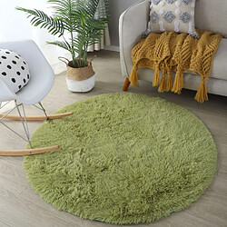 LUUCOZK Tapis à poils longs doux et moelleux pour chambre à coucher et salon - Vert gazon-200 x 200 