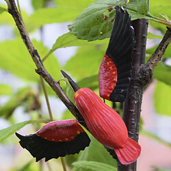 réaliste insecte animal pot cintre frigo aimant décor de jardin colibri