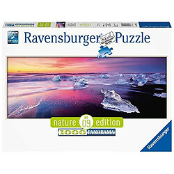 Ravensburger JAkulsArlAn Islande Puzzle (1000 piAces) 