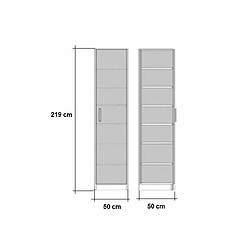 Inside 75 Armoire de rangement 1 porte blanc mat largeur 50 x 50 cm profondeur