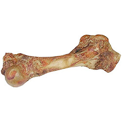 Acheter AIME Fémur de boeuf - Pour chien adulte - 1,6kg