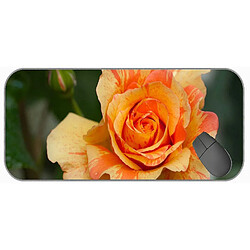 Universal (750x300x3) Grand Mousepad avec tissu à texture premium, magnifique pad de souris en caoutchouc rose naturel