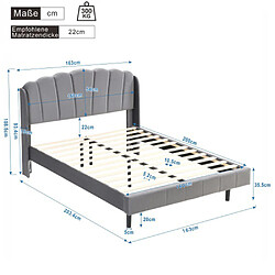 Acheter Sweiko Lit adulte 160x200 cm Lit rembourré avec lampes LED sensibles et les pieds Lit double gris