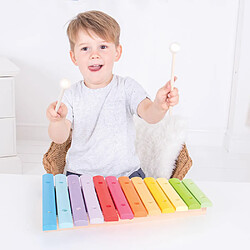 Bigjigs Toys Xylophone Snazzy en bois pour enfants pas cher