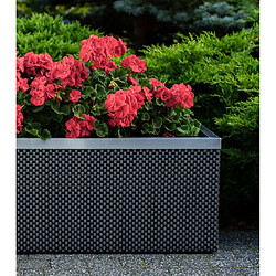 Rattan Art Jardinière en résine tressée avec réserve d'eau et cadre en aluminium 95 x 39 x 43 cm Acier / Anthracite.