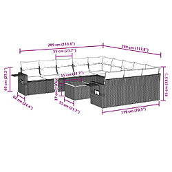 Avis vidaXL Salon de jardin avec coussins 12 pcs beige résine tressée