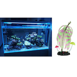 Décoration aquarium