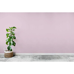 Avis POK SATIN : Peinture Satin Lessivable Violet rosé 25m² - 2,5L