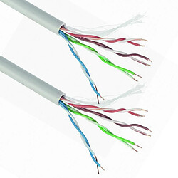 Câble RJ45 Gembird