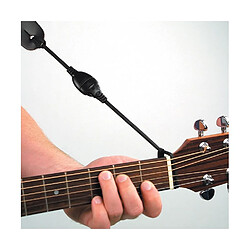 Instrument à cordes Planet Waves