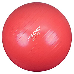 Avento Ballon de fitness/d'exercice Diamètre 65 cm Rose 