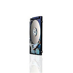 HGST Hitachi Travelstar 500 Go - 2.5''