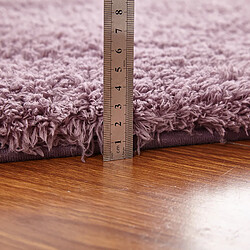 LUUCOZK Tapis moelleux en fausse fourrure Tapis à poils longs pour chambre à coucher Salon-Café-160x230cm