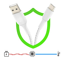 Acheter Câble USB vers USB-C MFi 18W Nylon Tressé 1m Charge et Synchro Belkin blanc