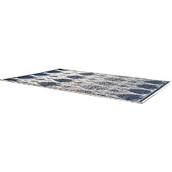 Acheter Vivaraise Tapis extérieur en polypropylène Tessa 200 x 290 cm.