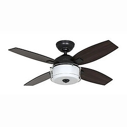 Hunter Ventilateur Central Park 107cm