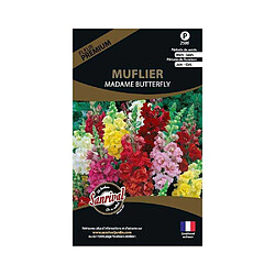 Sanrival Graines de fleurs premium muflier madame butterfly