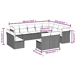 Avis vidaXL Salon de jardin avec coussins 12 pcs beige résine tressée