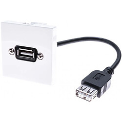 ABI DIFFUSION PLASTRON USB A/A F-F 0,10M