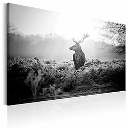 Paris Prix Tableau Imprimé Black & White Deer 80 x 120 cm 