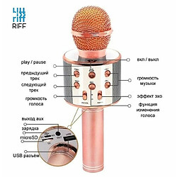 Riff WS-858 Microphone karaoké avec haut-parleurs Aux et Micro SD Or Rose 