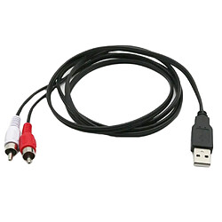 Câble USB vers 2 RCA Jack Splitter Audio Video AV Composite Câble Adaptateur pour TV/PC