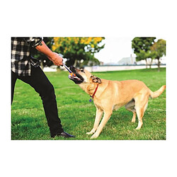 CHUCKIT! Ultra tug S - Balle en caoutchouc Ø 5cm - Pour chien