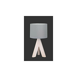 REALITY Lampe Ging Gris 1x40W E14 